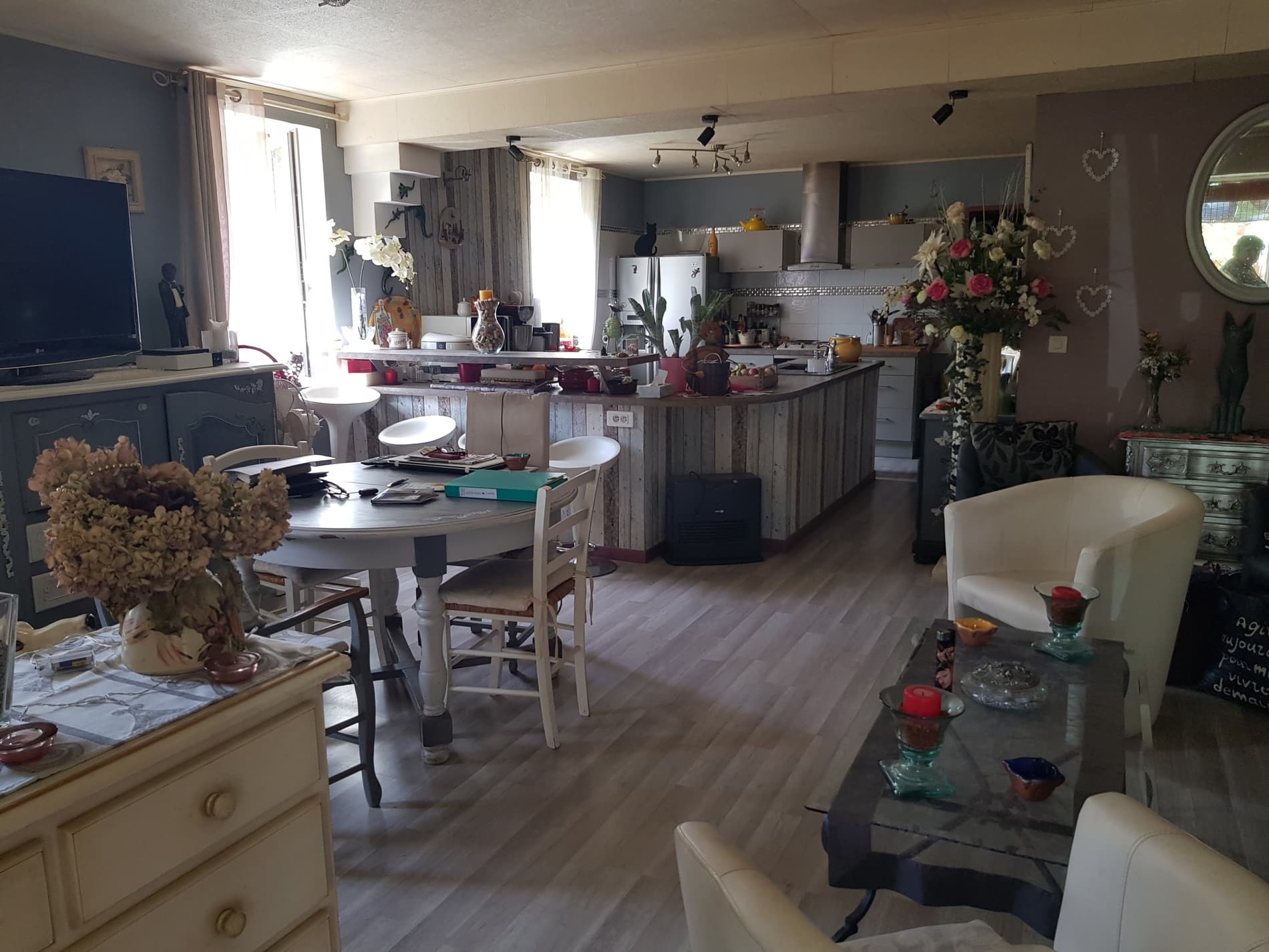 Viager Occupé : appartement 2 pièces, cave jardin