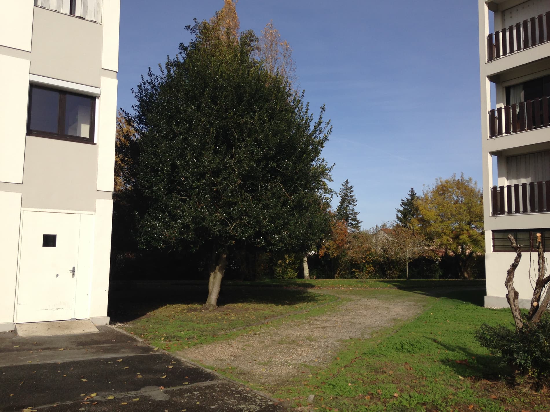Appartement type 3, ascenseur, parking