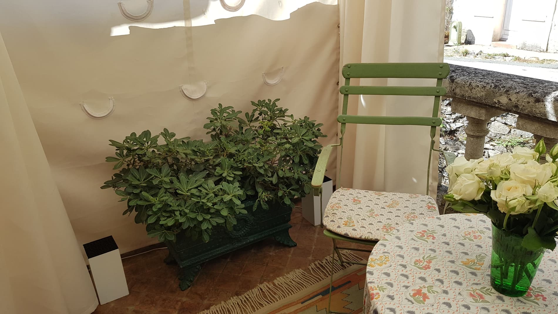 Viager Occupé Maison Pavillon terrasse